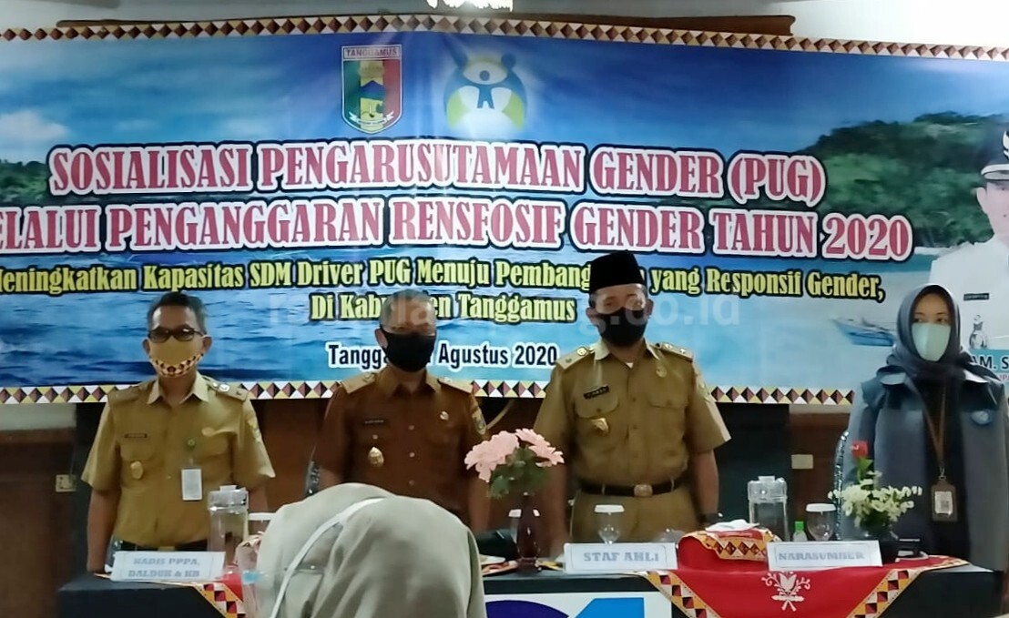 Dinas PPPA, Dalduk dan KB Tanggamus Sosialisasikan Pengarusutamaan Gender