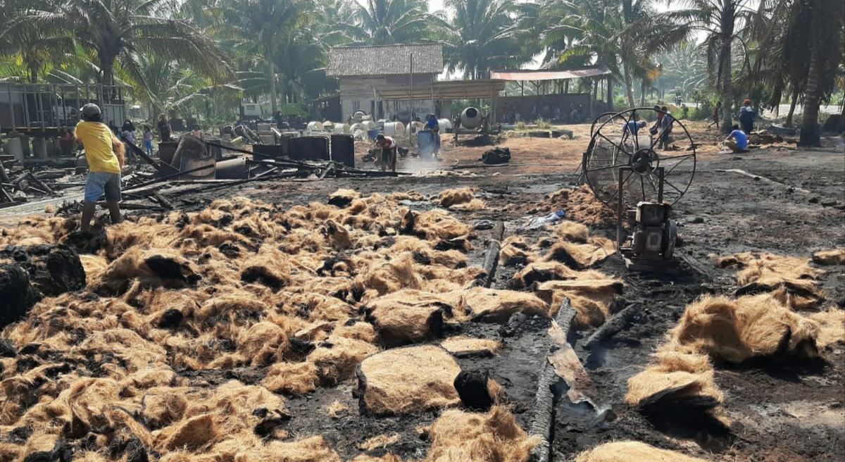 Pabrik Sabut Kelapa di Ngambur Terbakar, Kerugian Ratusan Juta