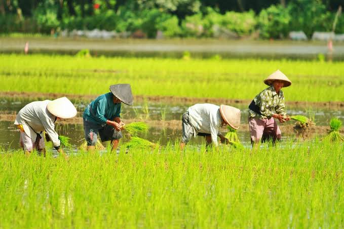 KPU Waykanan Terima Hibah APD Dari Gugus Tugas Covid-19