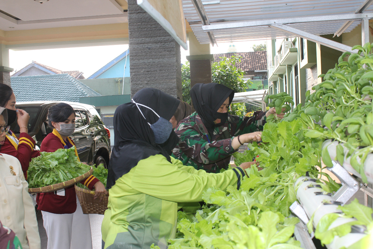 Dukung Program Ketahanan Pangan, Kodim 0410/KBL Tanam Sayuran Hidroponik