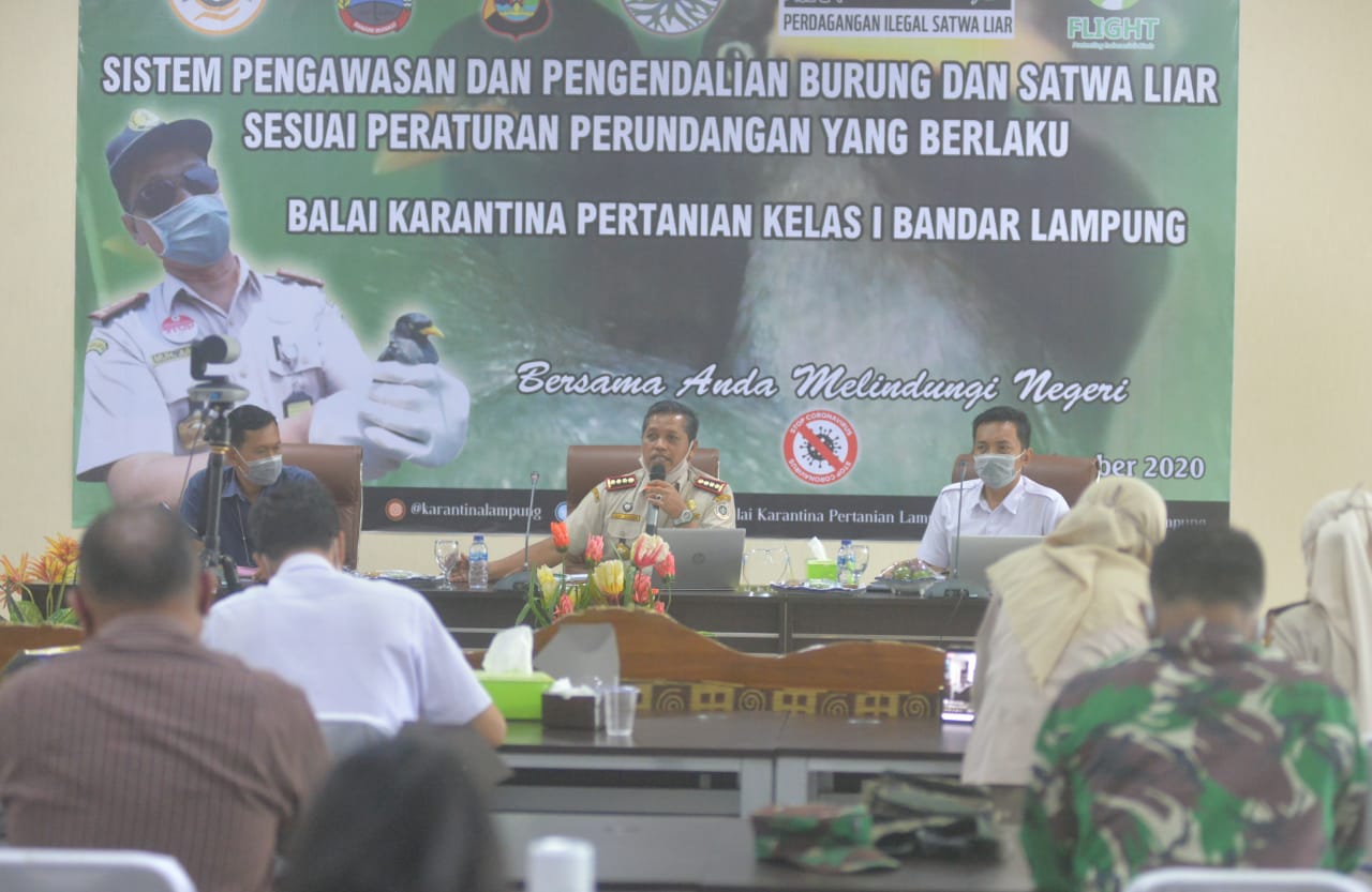Sejak Awal Tahun, 36.861 Ekor Burung Tak Berdokumen Diselundupkan Via Lampung
