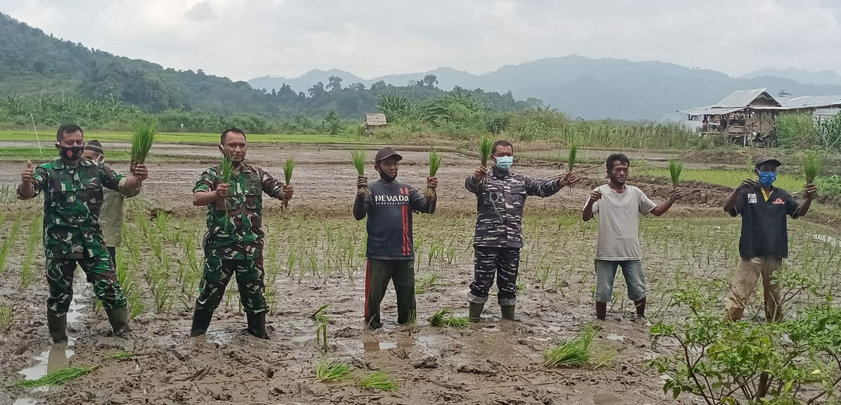 Jaga Ketahanan Pangan, TNI AL Berdayakan Masyarakat untuk Maksimalkan Lahan