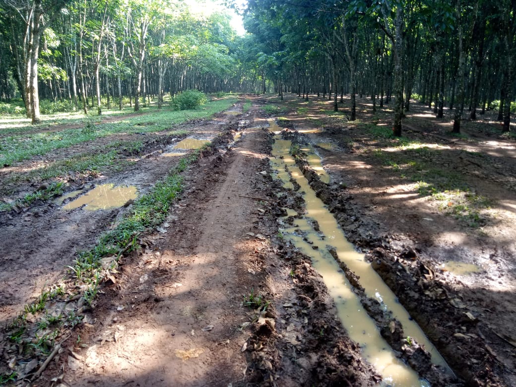 Jalan Poros di Waylimau Tak Kunjung Diperbaiki Lantaran Covid-19
