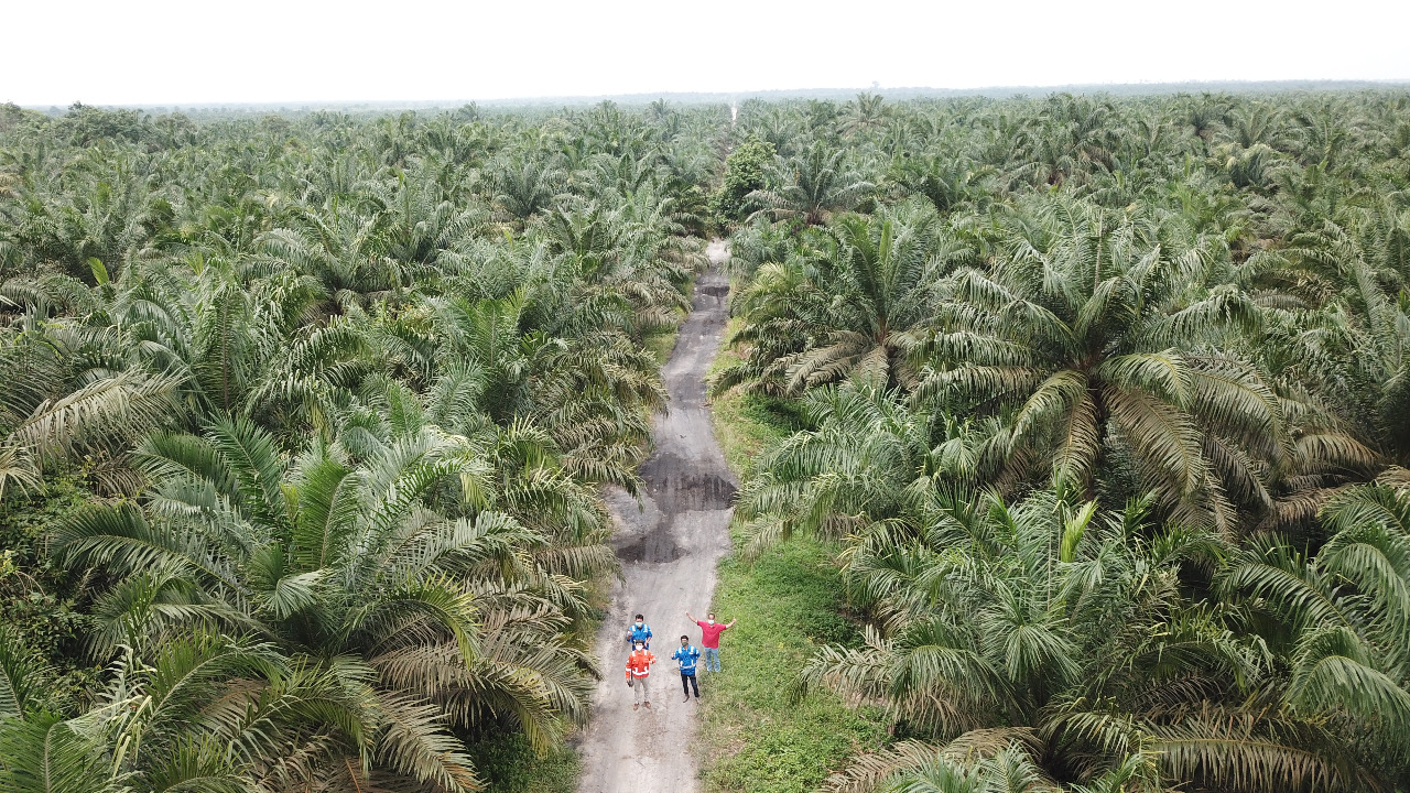 Efisiensi Proyek Pipa Minyak Blok Rokan Jadi Standar Baru Proyek Infrastruktur PGN