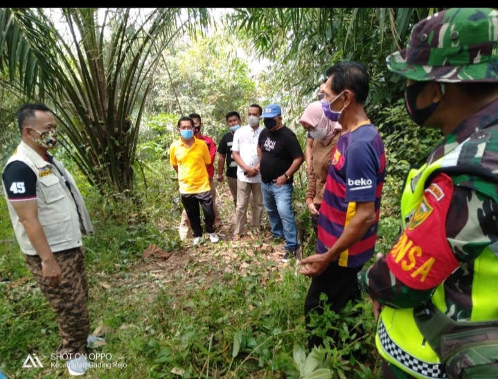 Bukit Silitonga, Saksi Bisu Kisah Heroik dari Pringsewu