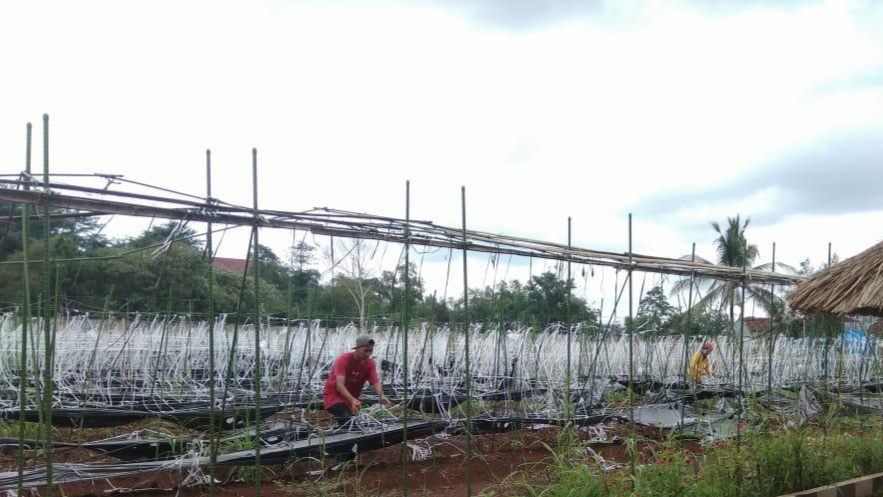 Kebun Agro Wisata Unila Segera Diperbaharui