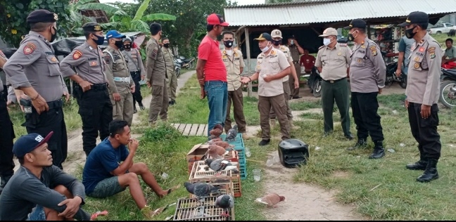 Arena Balap Merpati di Pringsewu Dibubarkan