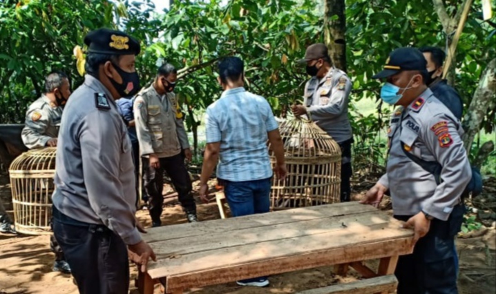 Arena Judi Sabung Ayam Digerebek, Polisi Temukan Ini