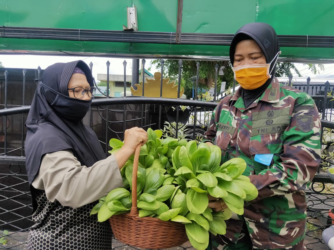 Ketahanan Pangan, Kodim 0410/KBL Tanam Sayur Hidroponik