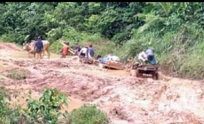 Ini Kondisi Jalan Menuju Empat Pekon di Bengkunat