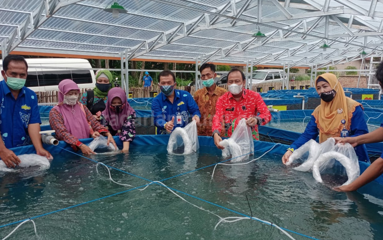 BBPBL Lampung Serahkan Paket Bantuan Ikan Hias dan Bioflok