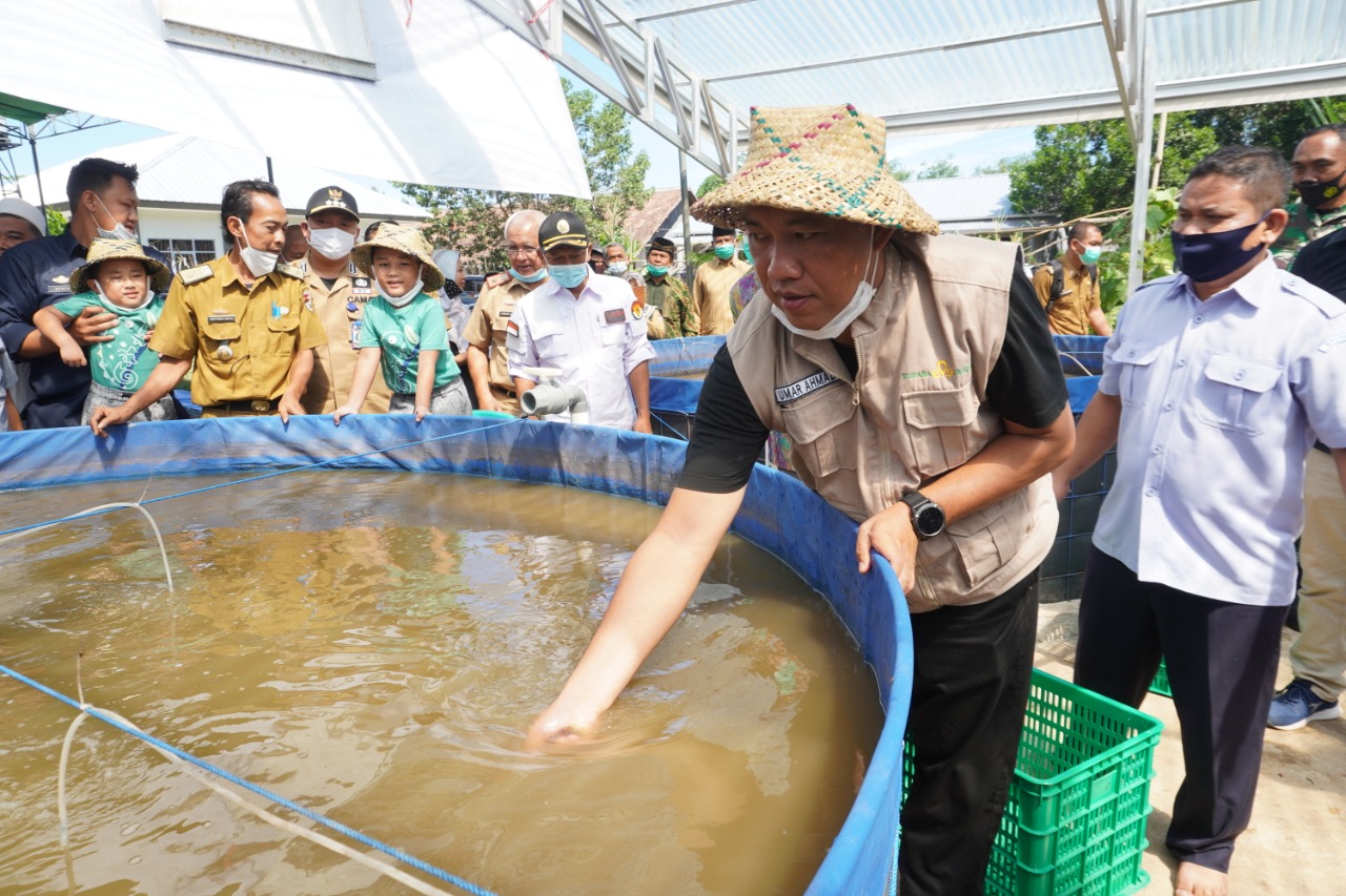 Hadiri Panen Perdana Lele Sistem Bioflock Tubaba, Umar Ahmad : Proses Menumbuhkan Kebaikan