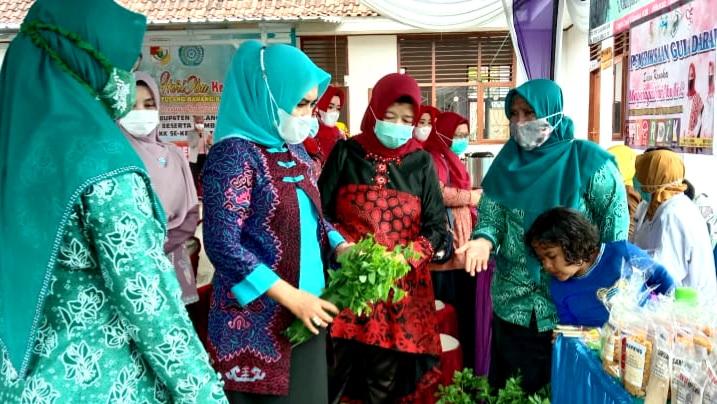 Pesan Ketua TP-PKK Tubaba Saat Kunjungi Kecamatan Lambu Kibang