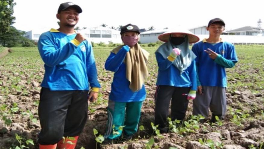 Program Studi Produksi Tanaman Pangan Memulai Kegiatan PKL di Teaching Farm 