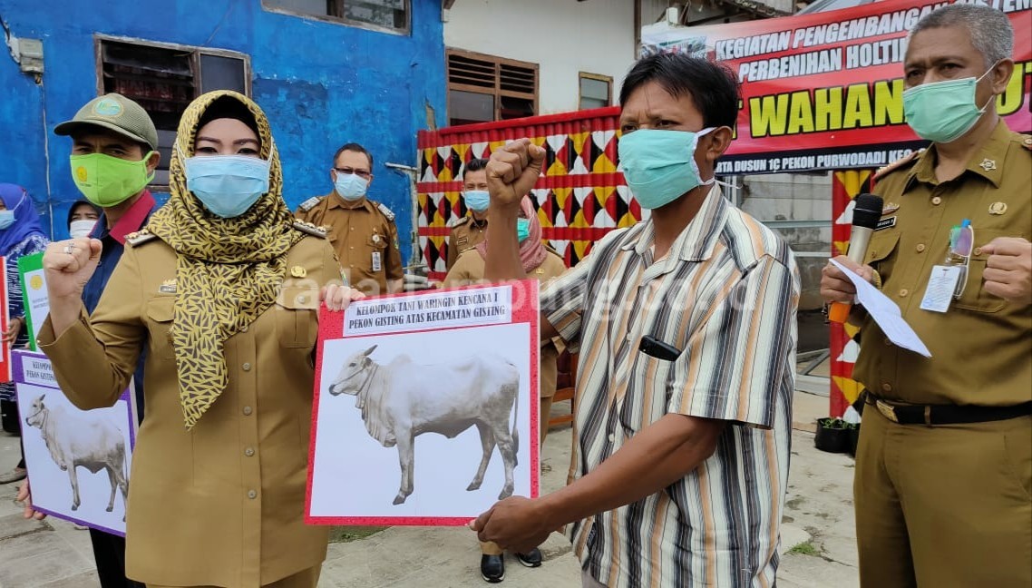 Bupati Tanggamus Serahkan Bantuan untuk KWT dan Poktan