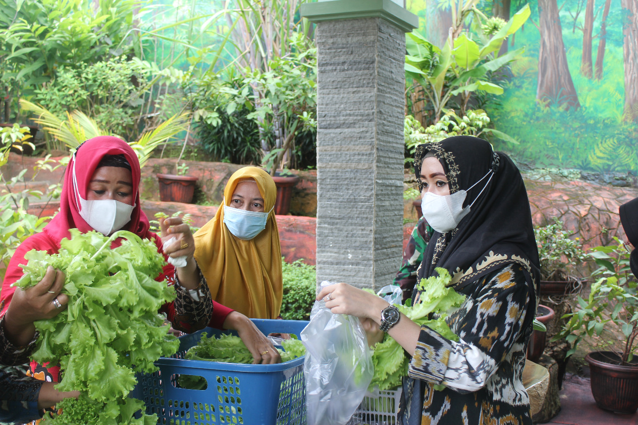 Dalam Rangka Ketahanan Pangan, Kodim 0410/KBL Tanam Sayuran Hidroponik