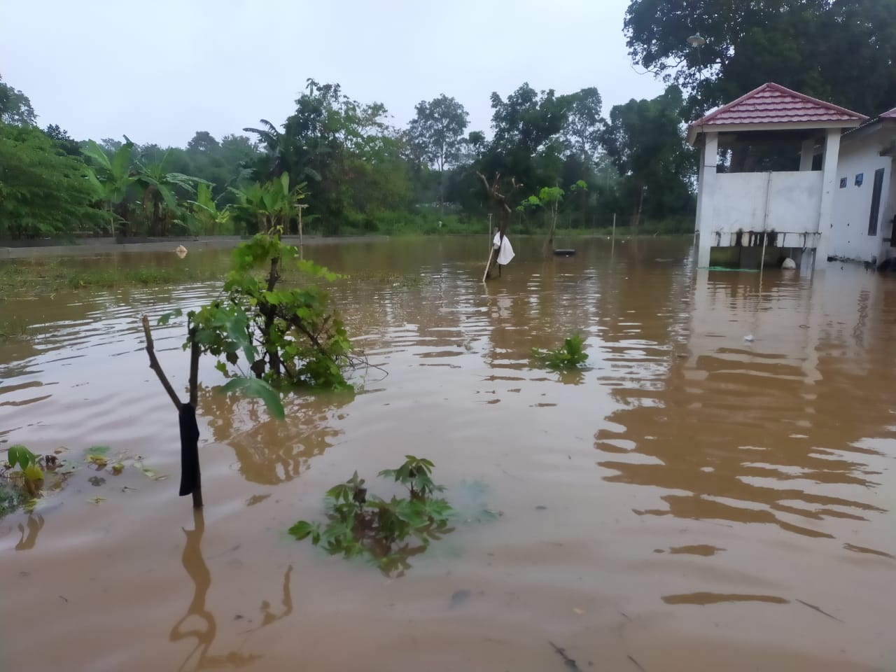 Akibat Banjir, Dinas Perikanan Akan Normalisasi Kolam BBI