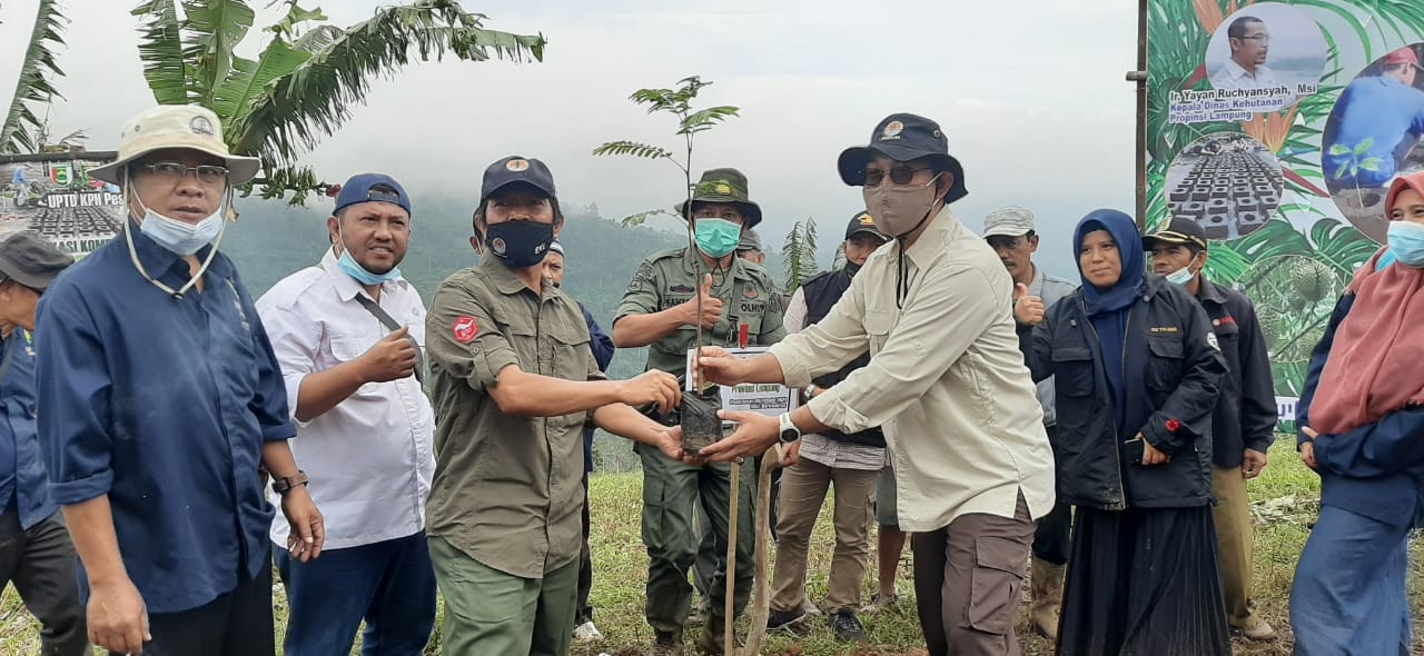 Perangi Pelaku Illegal Loging, PPNS Dishut Lampung Selesaikan P-21 21 Berkas Perkara