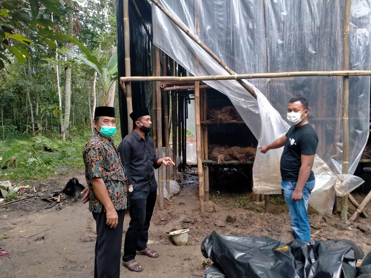 Usaha Jamur Makan Korban, Satu Orang Tewas