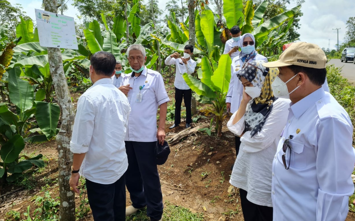 Tanggamus Usulkan Sejumlah Program ke Pemprov Lampung