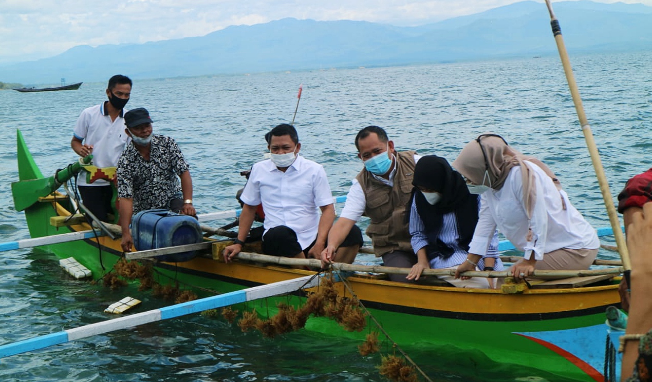 Wabup Apresiasi Budidaya Rumput Laut di Pematangsawa