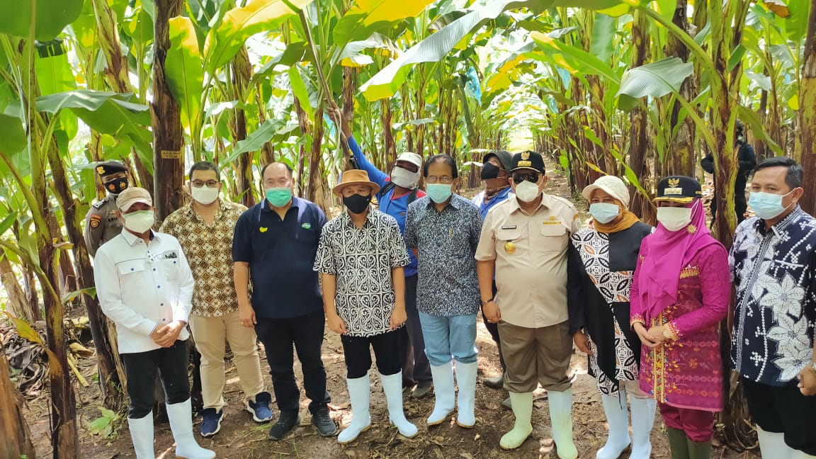 Dua Menteri dan Gubernur ke Tanggamus, Cek Sentra Pisang Emas dan Kerajinan UMKM