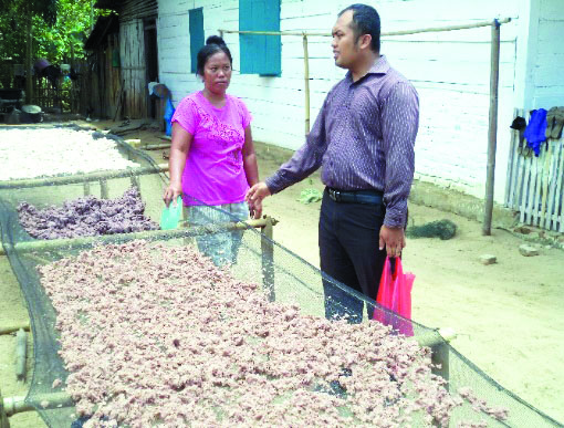 Isolasi Pigmen Karotenoid asal Terasi Udang serta Aplikasinya sebagai Senyawa Antioksidan Alami