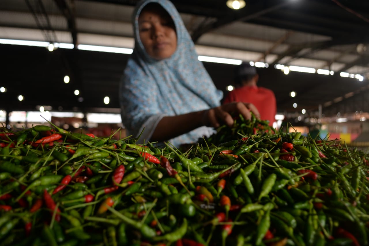 Cabai Setan Tembus Rp140 ribu/kg