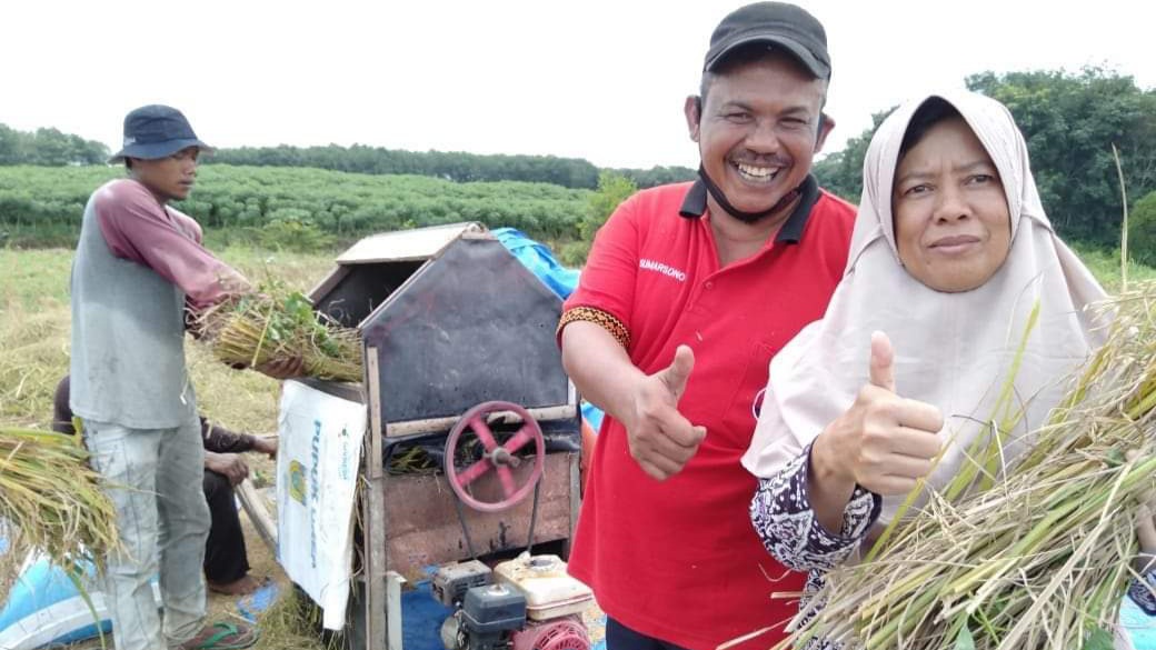 Jangan Bergantung Singkong, Coba Tanam Padi Gogo!