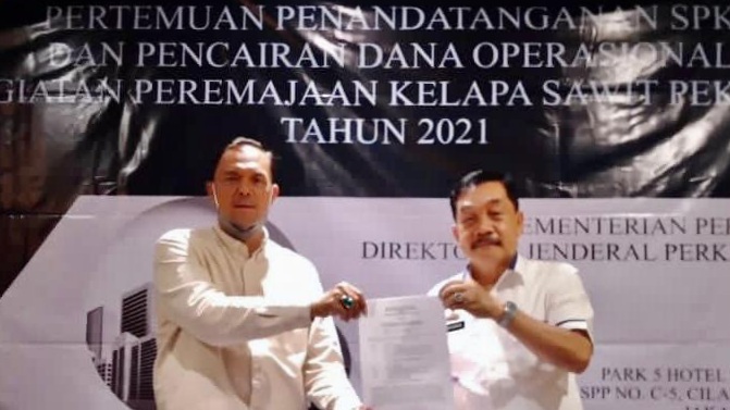 2021, Lampung Terima Peremajaan Kelapa Sawit untuk 3.000 Hektar Lahan