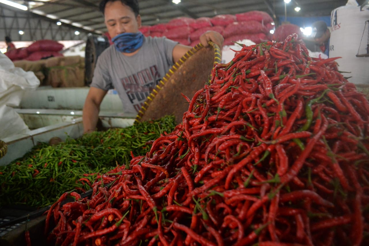 Harga Cabai Tak Kunjung Stabil