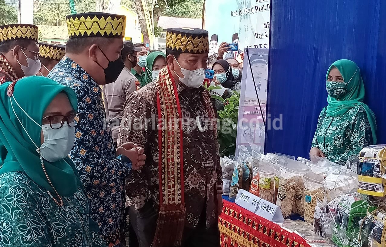 Gubernur Launching Smart Village di Desa Hanura