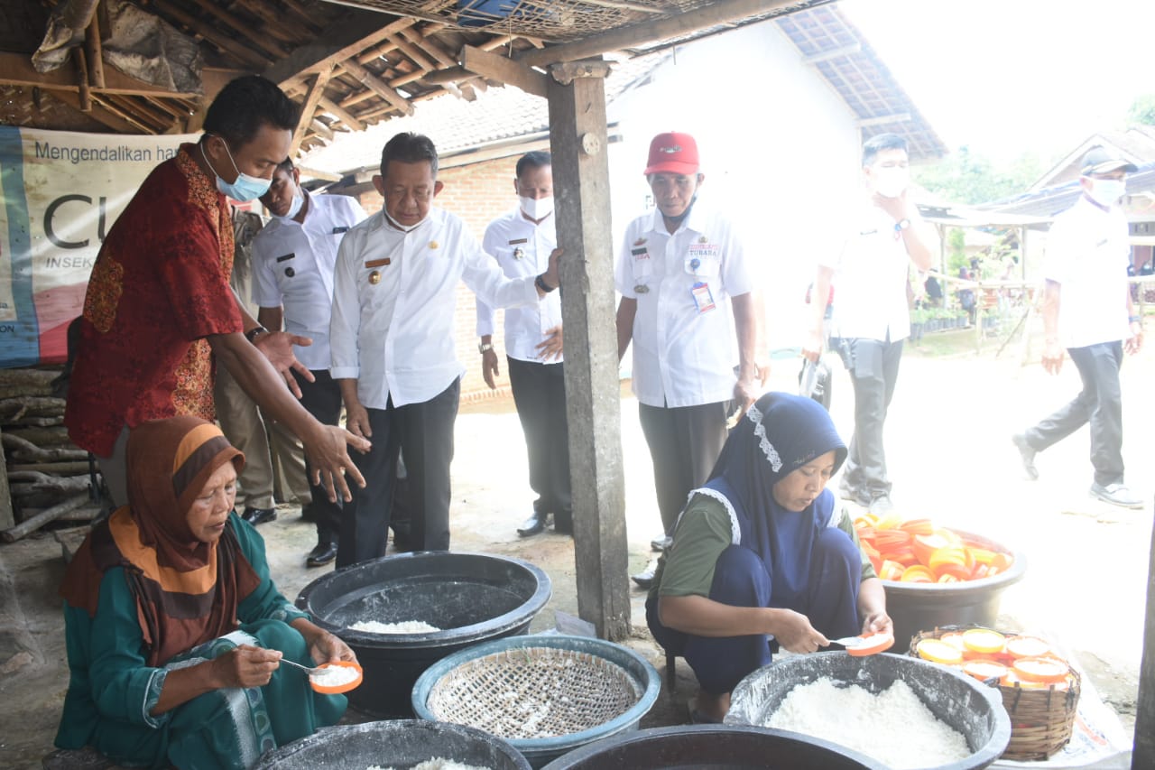 Pengembangan Potensi UMKM Tubaba, Fauzi Hasan Ingatkan Peran Aktif Pemerintah Tiyuh 