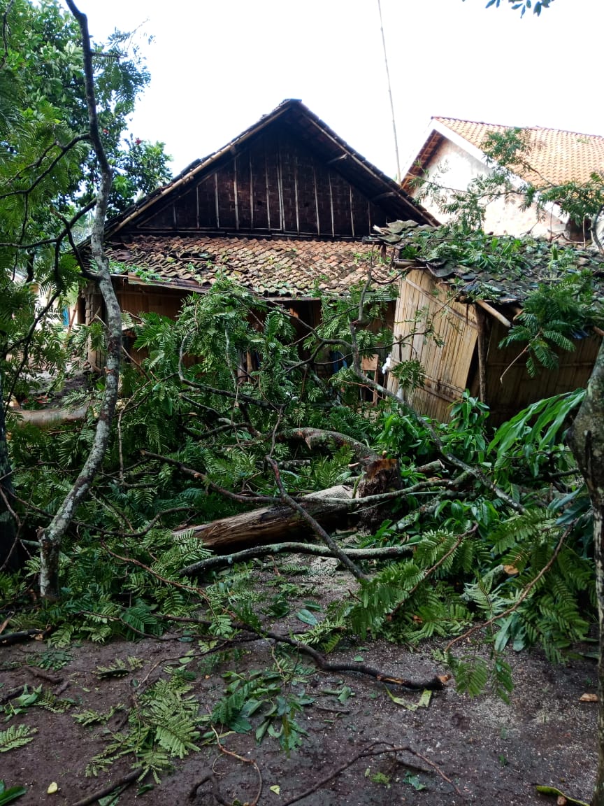 Hujan Disertai Angin Kencang, Puluhan Rumah Warga di Lampura Alami Kerusakan Serius