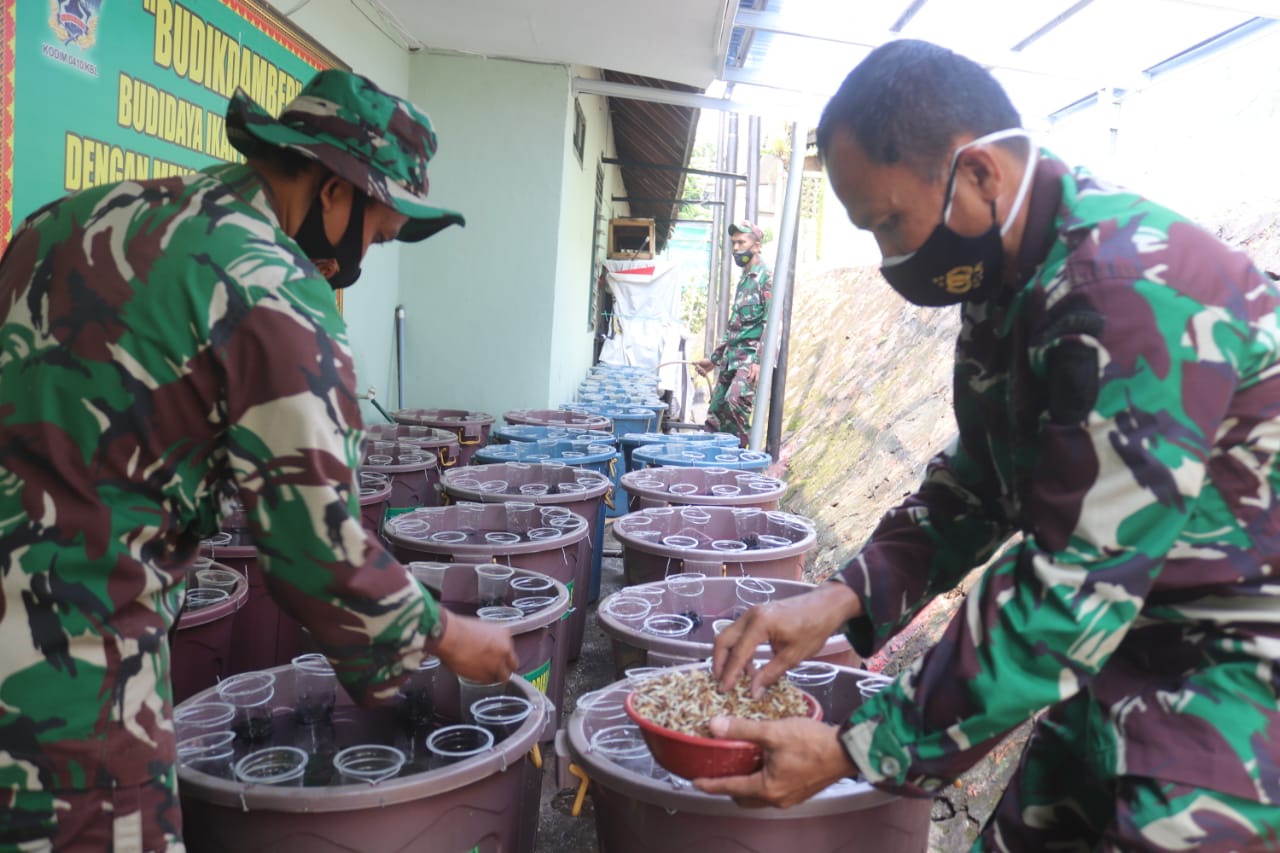 Jaga Ketahanan Pangan, Kodim 0410/KBL Ternak Ikan Lele