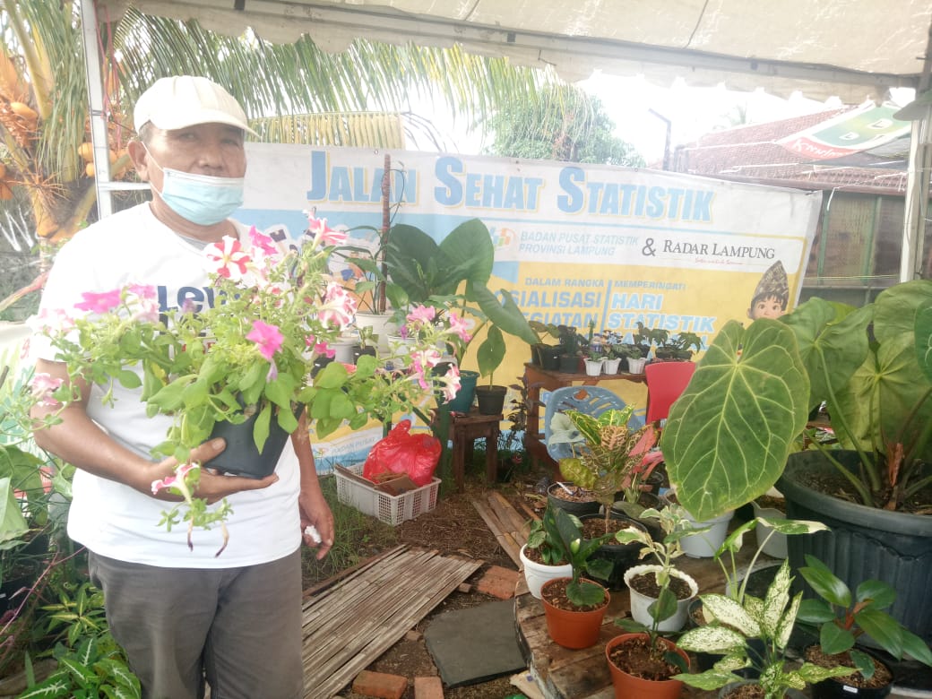 Budi Florist Punya Solusi Media Tanam untuk Tanaman Bunga