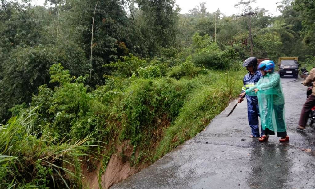 Hati-hati Melintas! Jalur Liwa-Ranau Amblas