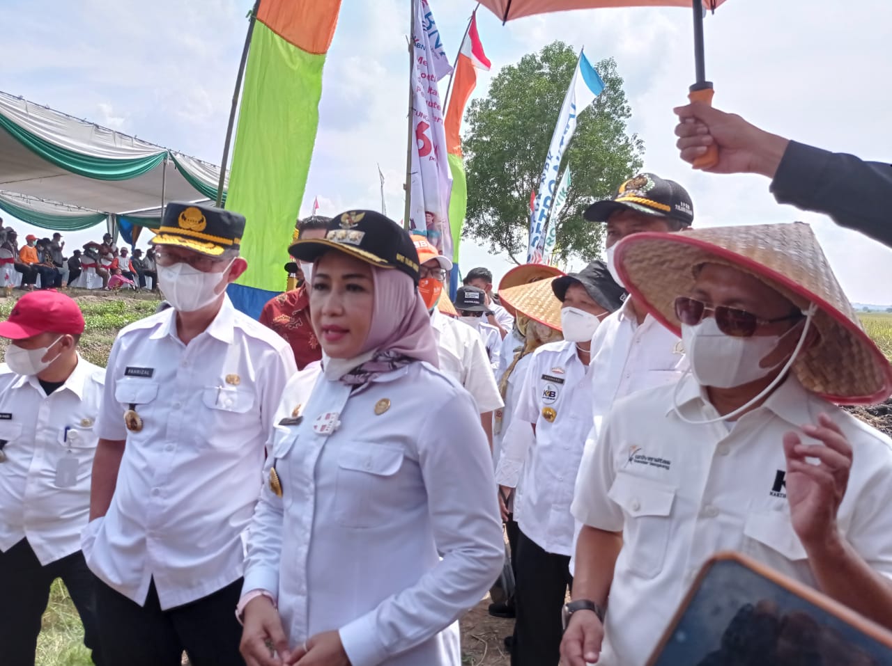 Jadi Lumbung Padi di Lampung, Winarti Genjot Pembangunan Menuju Rawapitu