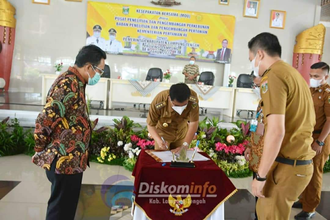 Kembangkan Kurma Tropis, Lamteng Gandeng Kementan RI