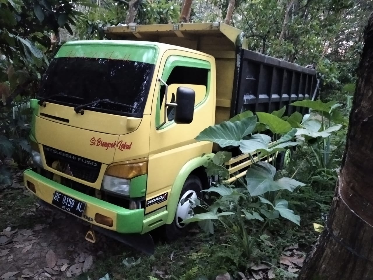 Polhut Amankan Satu Truk Pembawa 25 Batang Sonokeling dari Tahura WAR