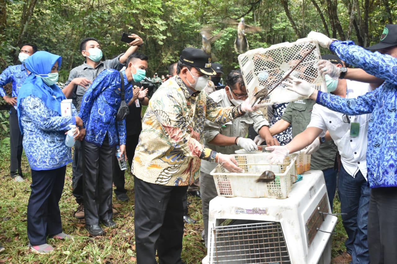 Wabub Lamtim Lepas Liarkan Ratusan Satwa di TNWK