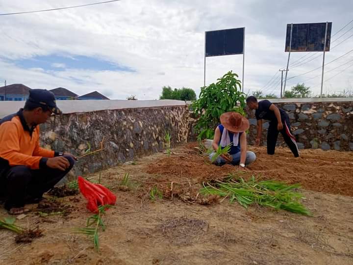 Kantor ini Manfaatkan Lahan Jadi Apotek Hidup