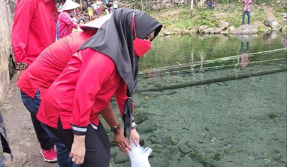 DPC PDIP Tanggamus Tebar Benih Ikan Nila