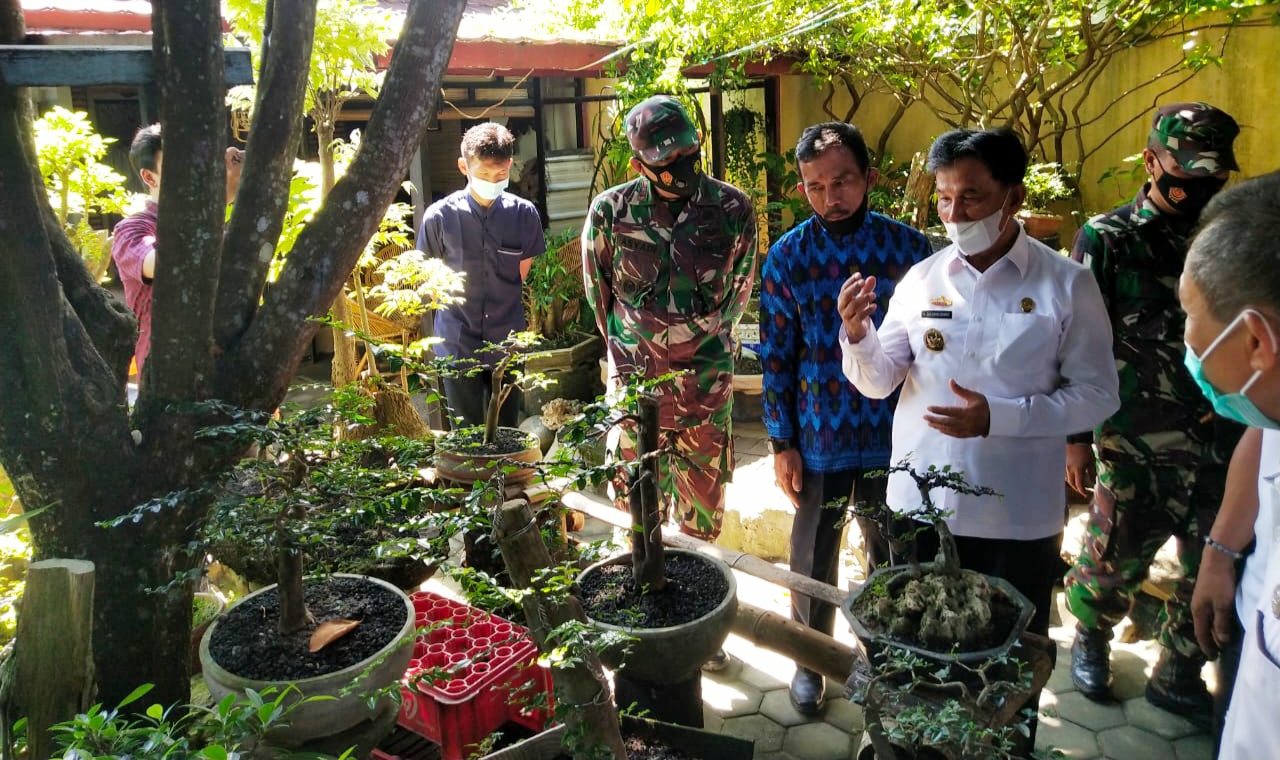 Penggemar Bonsai Harus Ikut Menjaga Kelestarian Lingkungan
