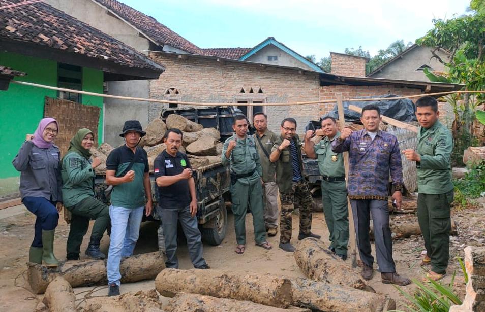 Pelaku Illegal Logging Tabrak Polhut, Lalu Cemplungkan Mobil ke Sawah