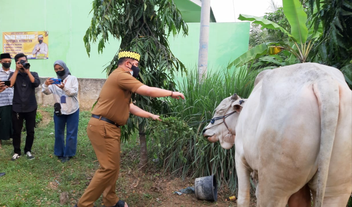 Bupati Minta Pembagian Daging Kurban Door to Door