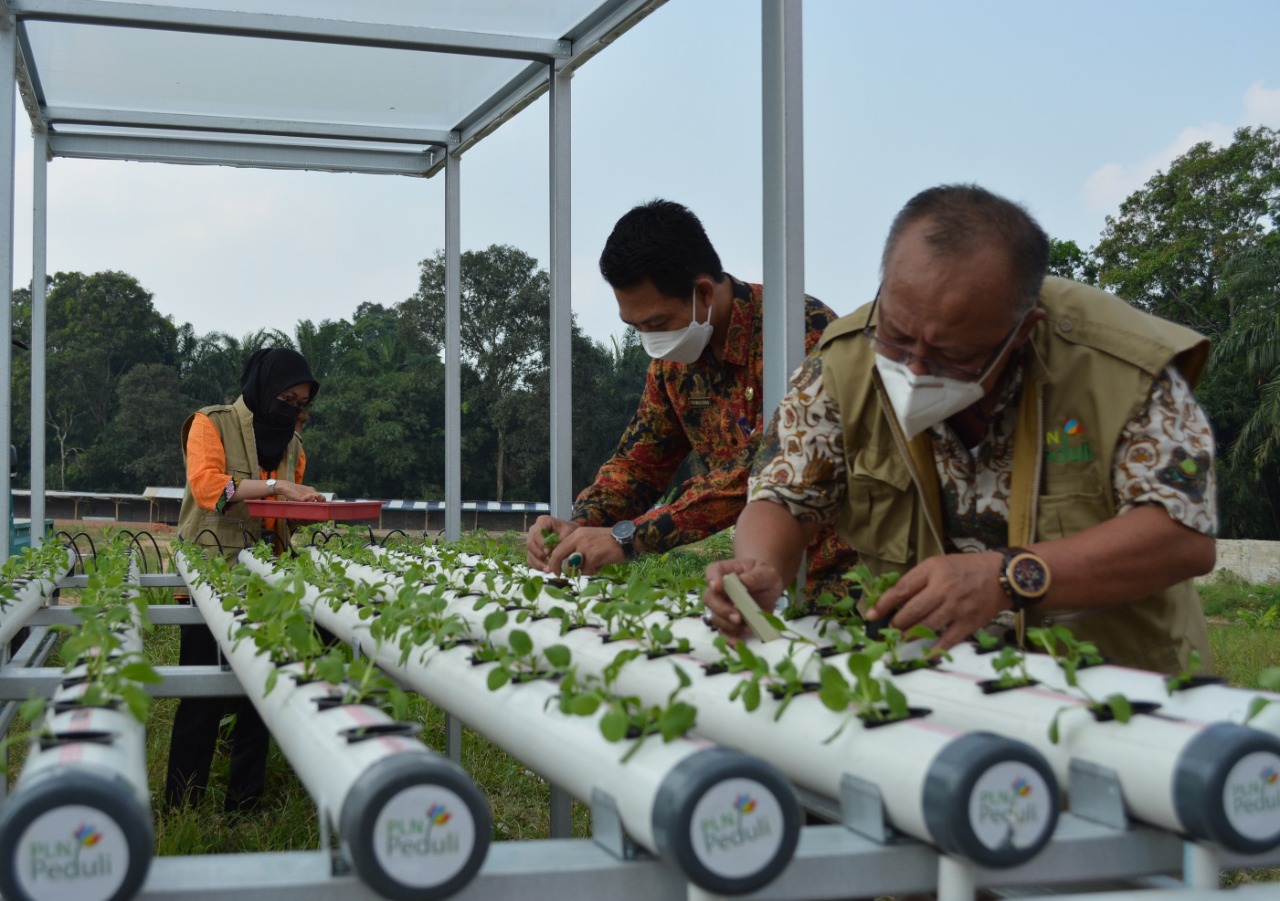 Bantuan Pengairan PLN Peduli, Hilangkan Kecemasan Petani Saat Kemarau