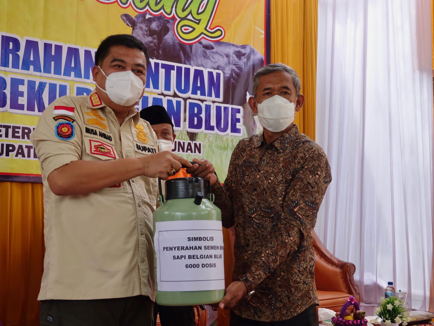 Semen Beku Sapi Belgian Blue Diserahkan ke Peternak Lamteng