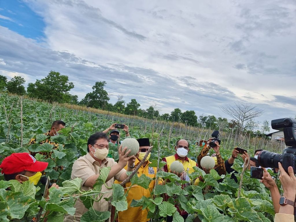 Menko Airlangga Apresiasi Pemda Kalsel, Bantu Isoman Covid-19 dengan Hasil Panen Petani