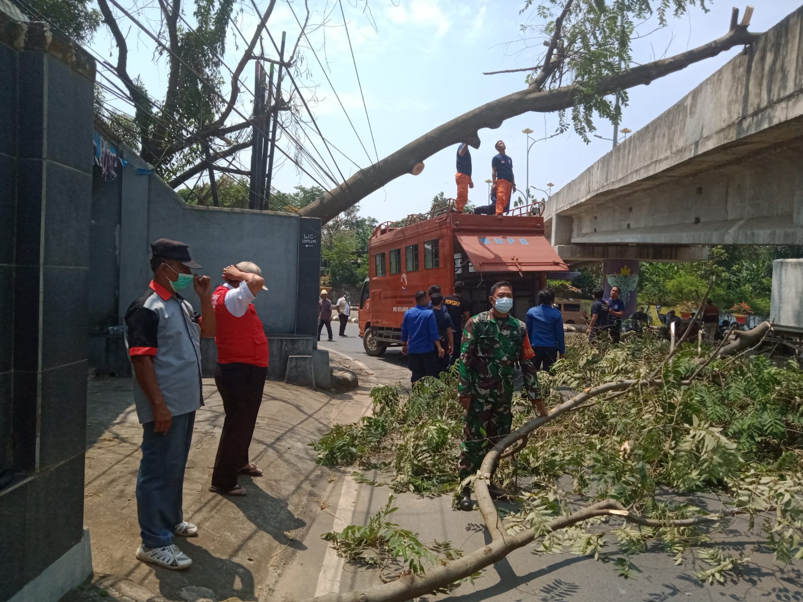 Babinsa Kodim 0410/KBL Monitoring Pohon Tumbang